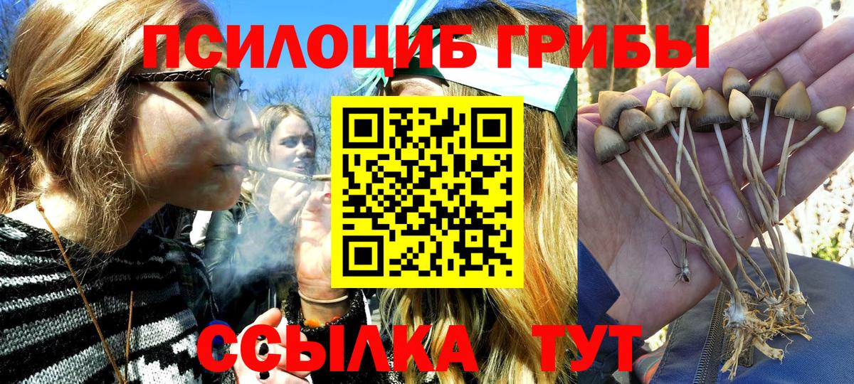 Малоярославец  Псилоцибиновые грибы Psilocybine cubensis  Вход с VPN  Псилоцибиновые грибы прущие грибы 